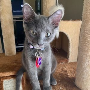 Meet your Posher, Rena